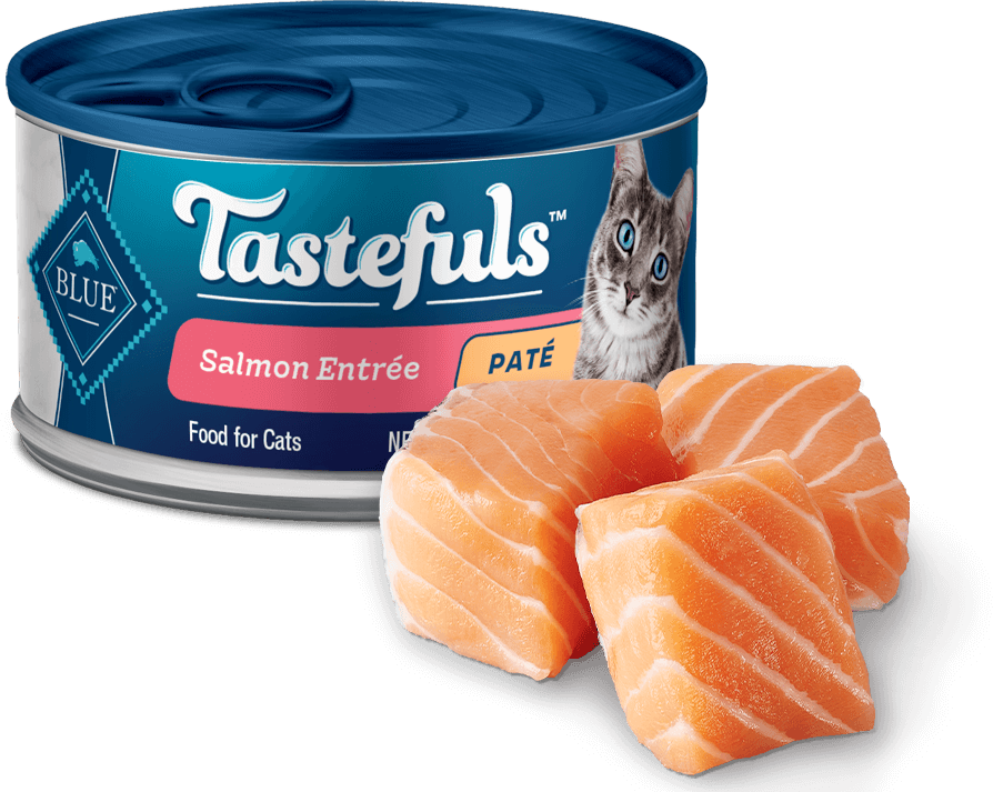 BLUE Buffalo Tastefuls Salmon Paté - Adult Cat
